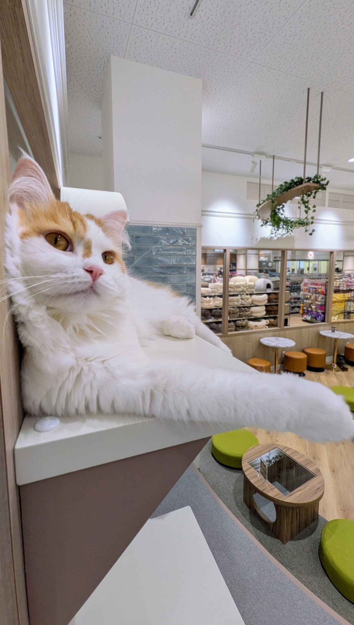 名取店の店舗風景１