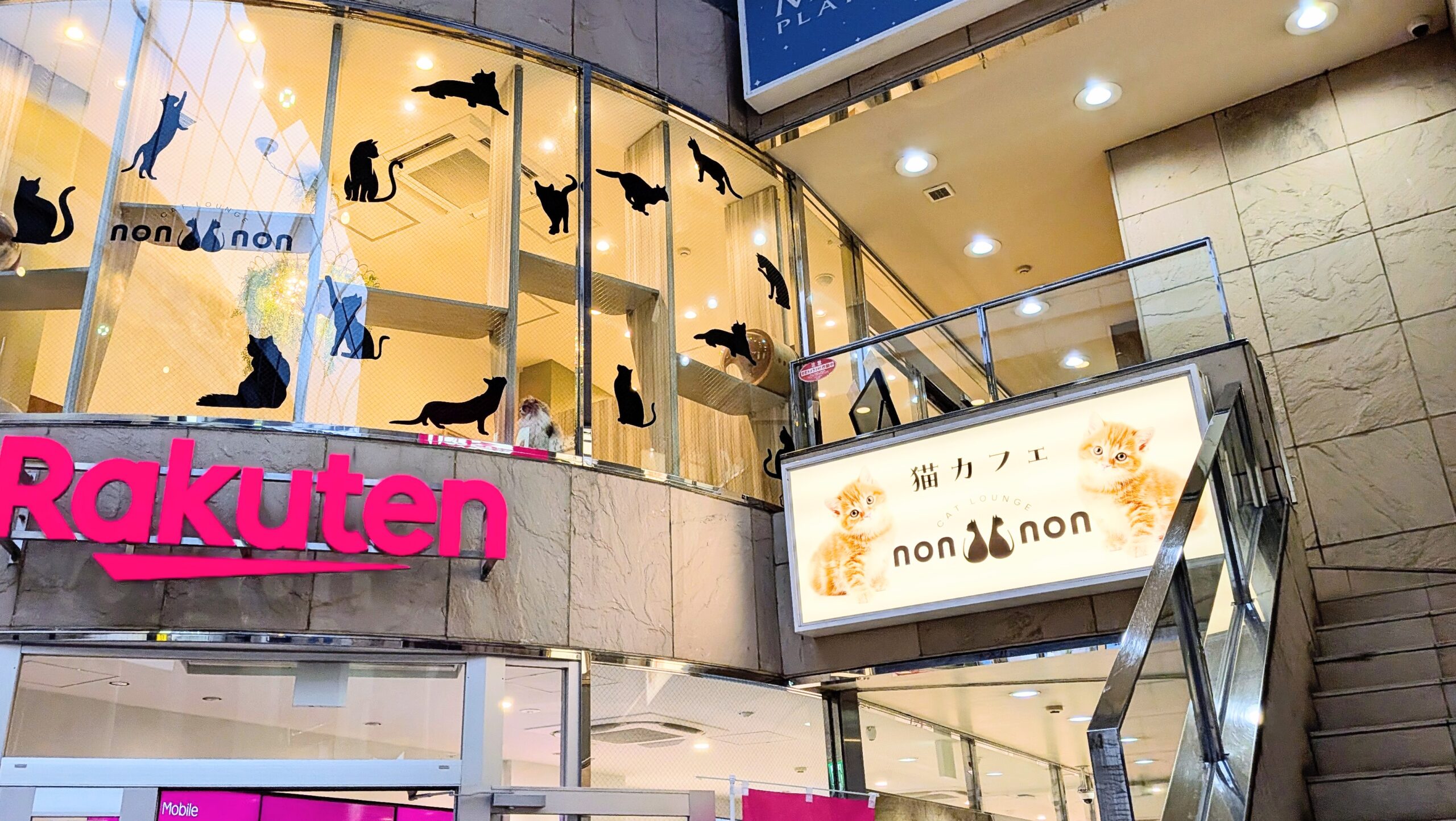 ねこさん専用イマジナシオン PXL_20251219_0511456562-1-